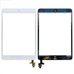 Pantalla Táctil iPad