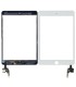Pantalla Táctil iPad