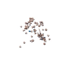Kit de tornillos iPhone X Oro