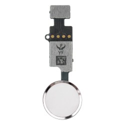 Botón Home iPhone 7 / 7 Plus / 8 / 8 Plus Plata Blanco